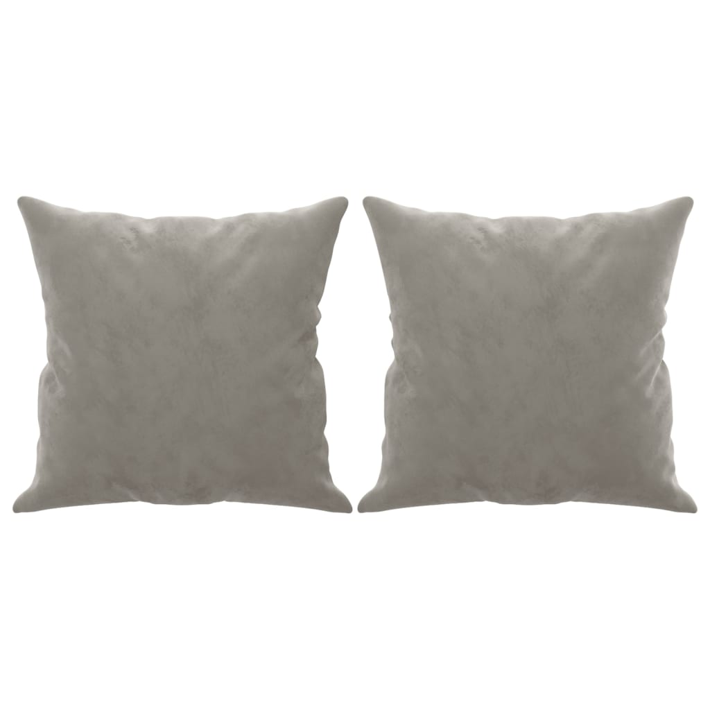 Coussins Velour Gris Clair