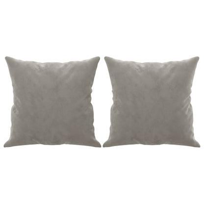 Coussins Velour Gris Clair