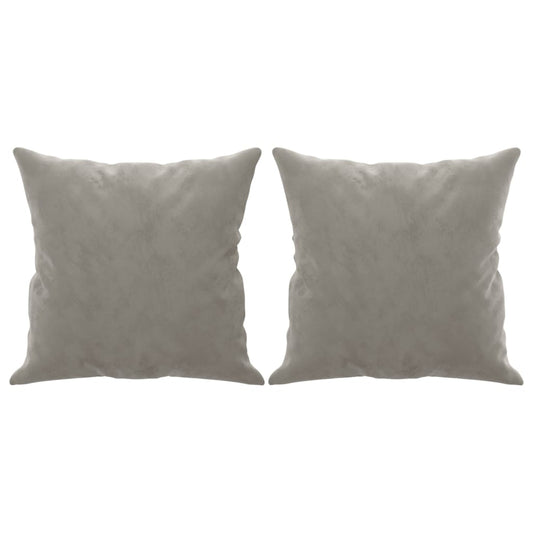 Coussins Velour Gris Clair