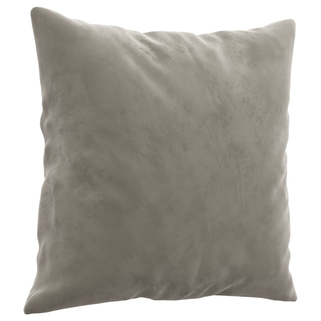 Coussins Velour Gris Clair