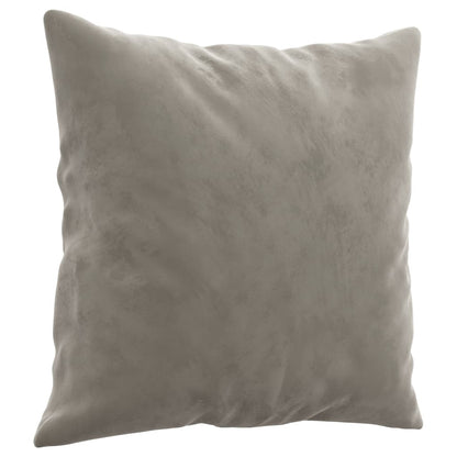 Coussins Velour Gris Clair