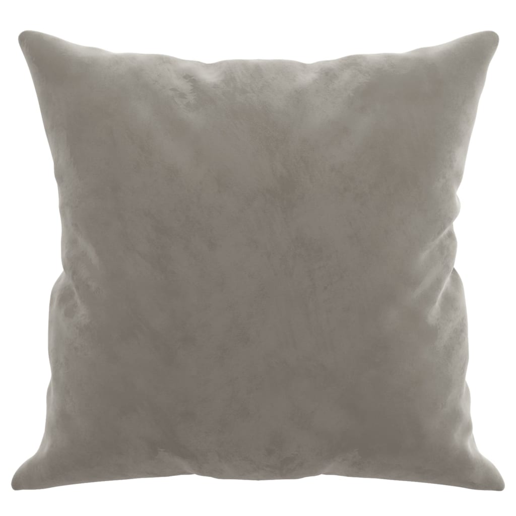 Coussins Velour Gris Clair