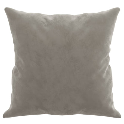 Coussins Velour Gris Clair