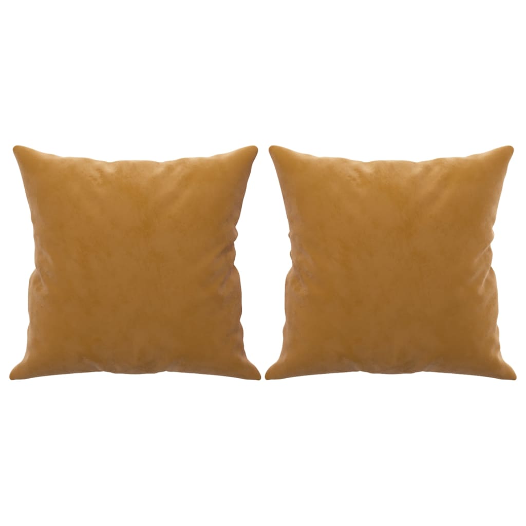 Coussins Velour Marron