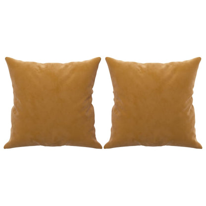 Coussins Velour Marron