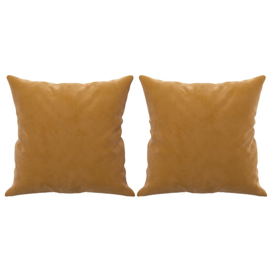 Coussins Velour Marron