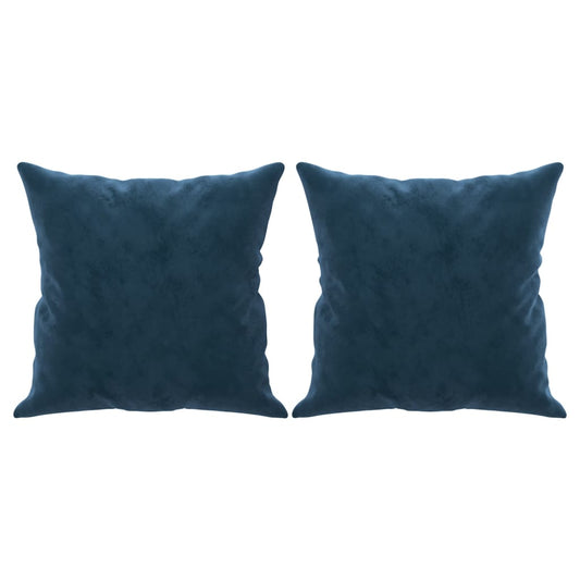 Coussins Velour Bleu